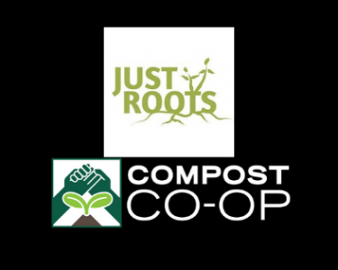 Just Roots logo with the name of the organization in green font with a white background
